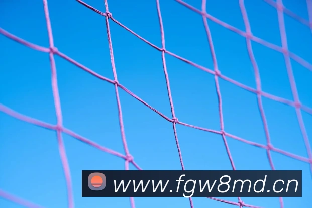 女足世界排名前16名出炉 强队格局调整世界杯竞争更趋激烈